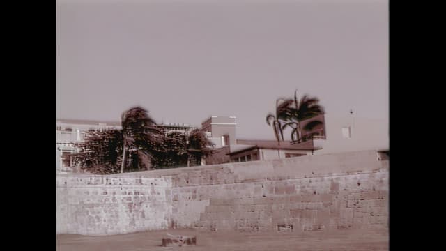 Artist image