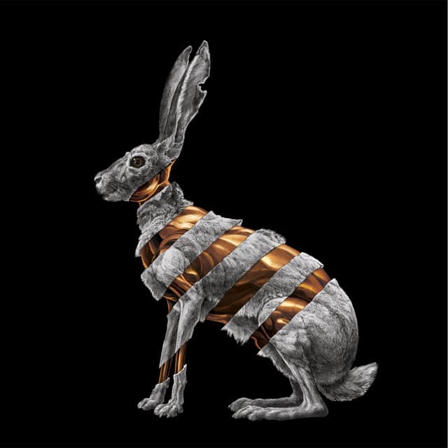 Artist image