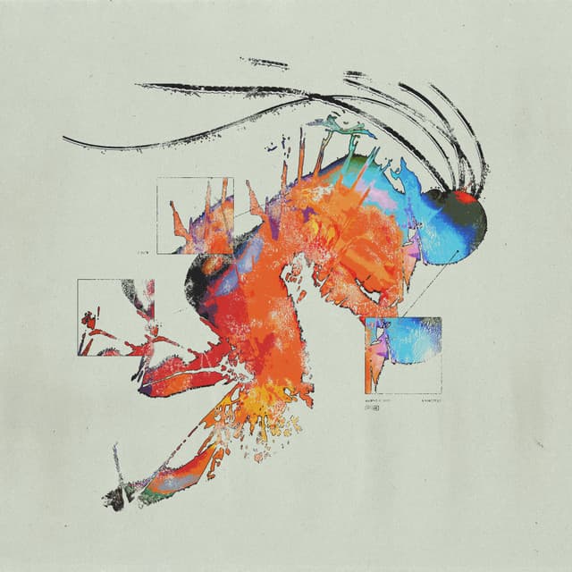 Artist image