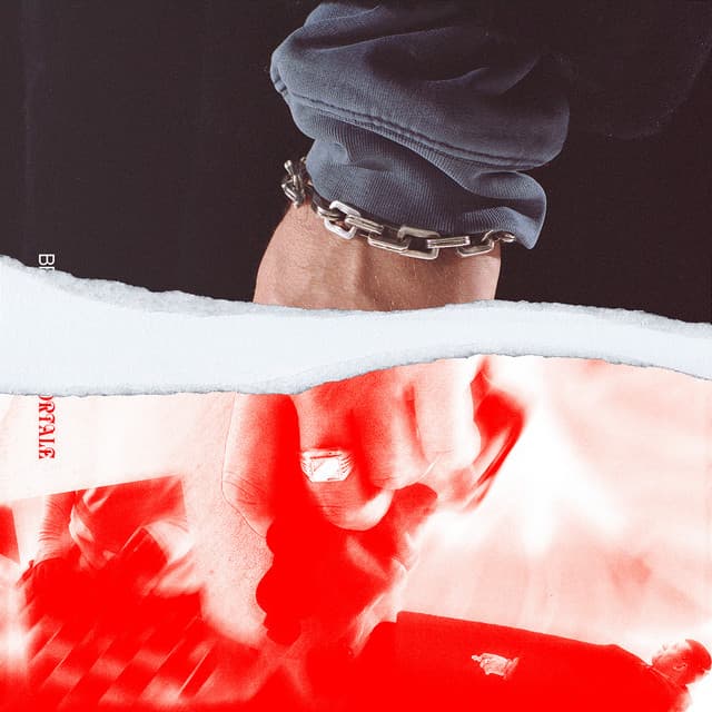 Artist image