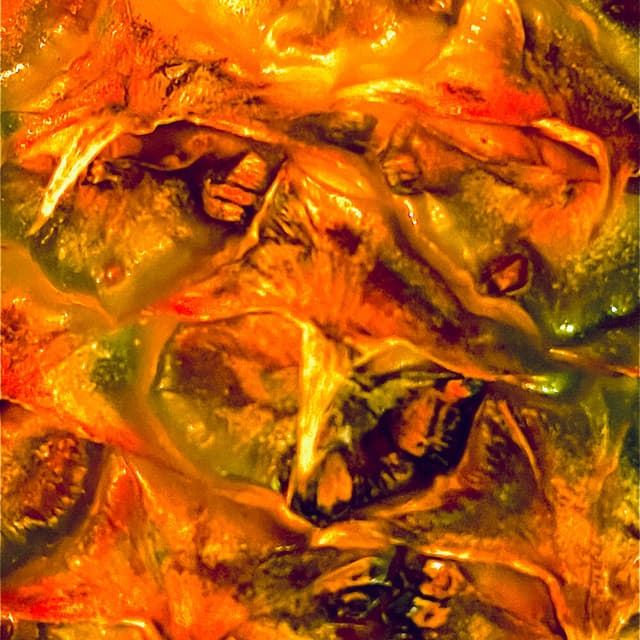 Artist image