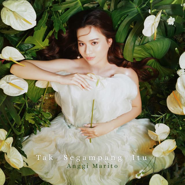 Artist image