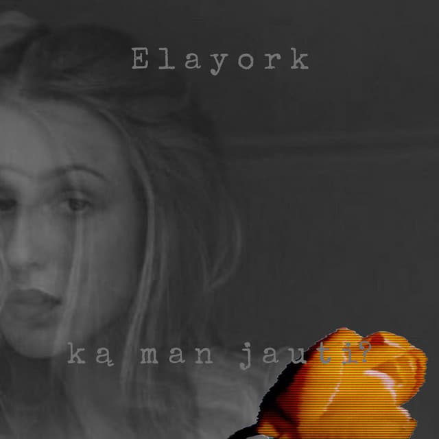 Artist image