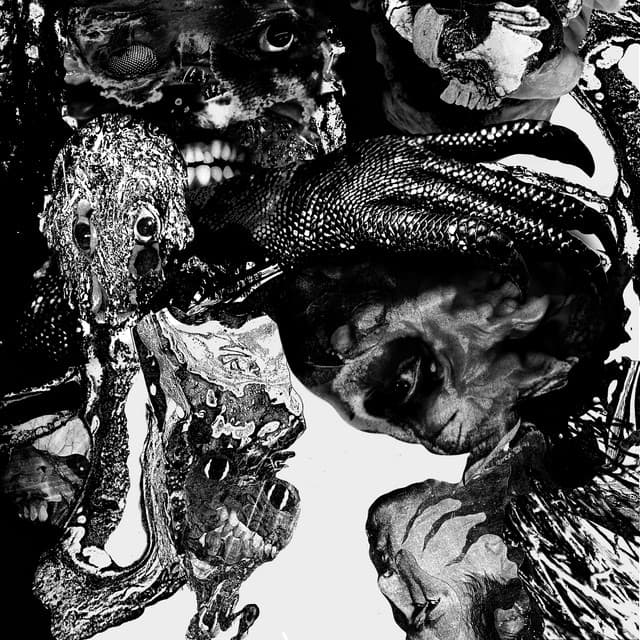 Artist image