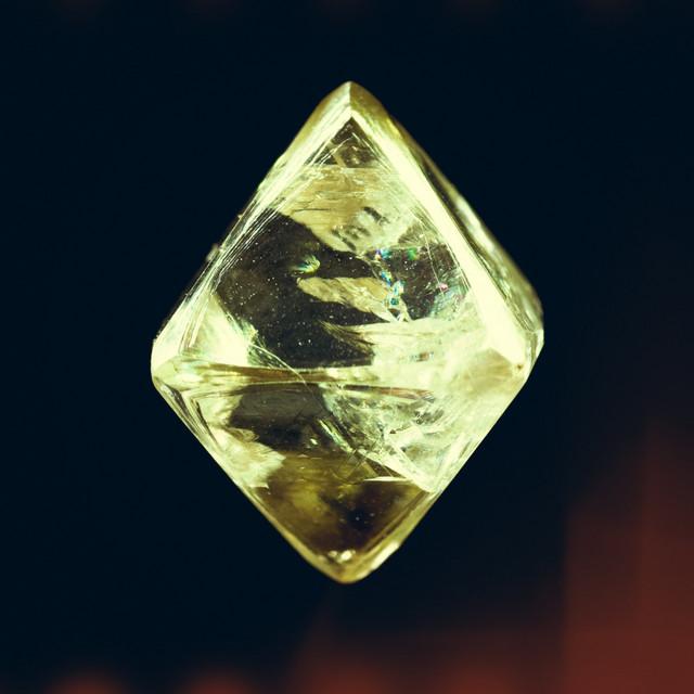 Artist image