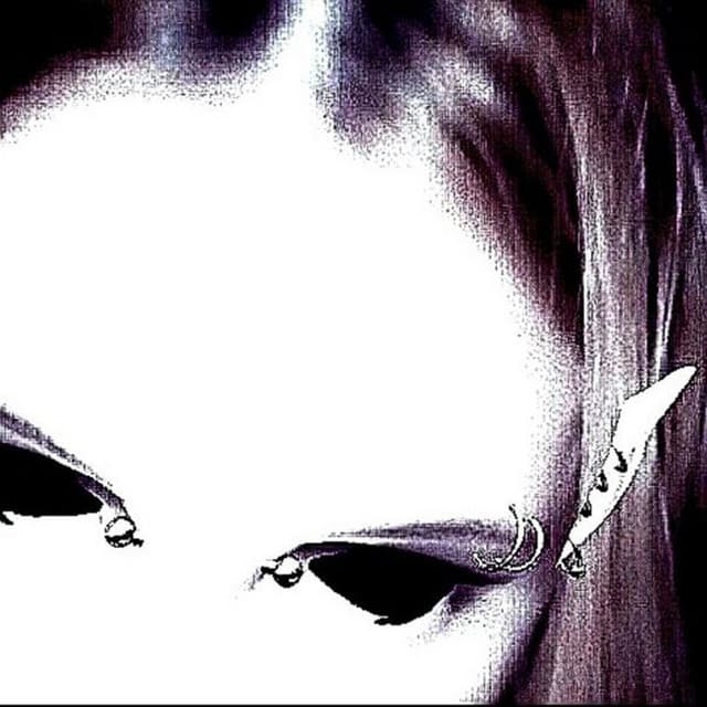 Artist image