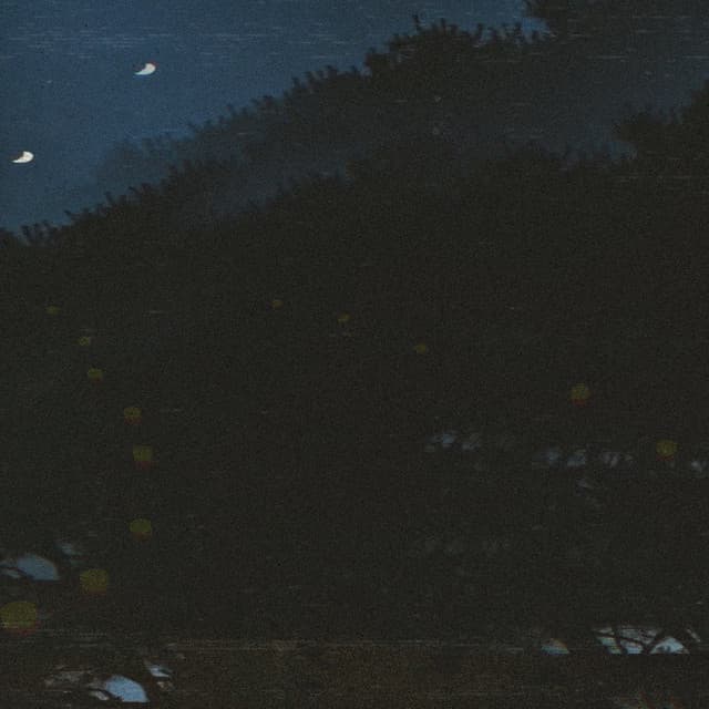 Artist image