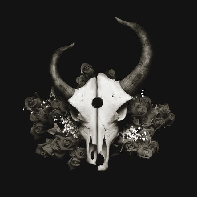 Artist image