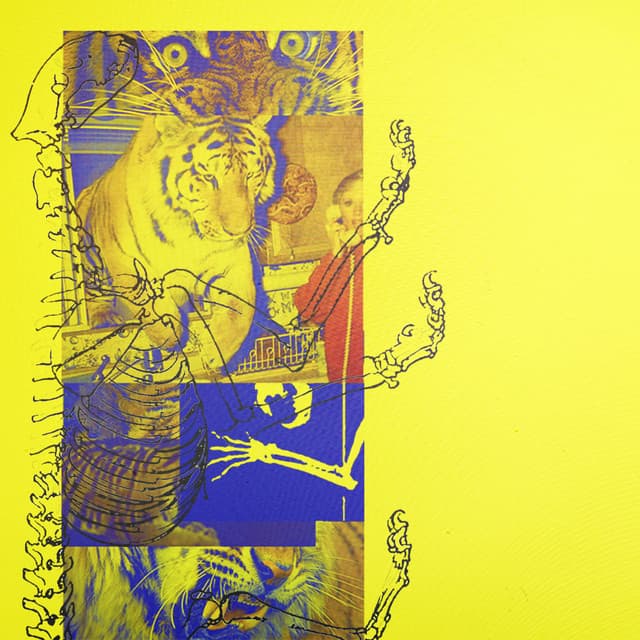 Artist image