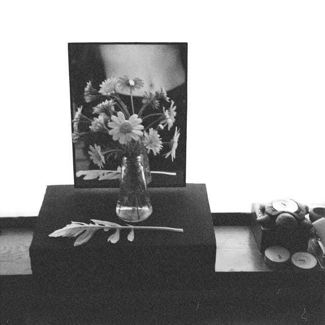 Artist image