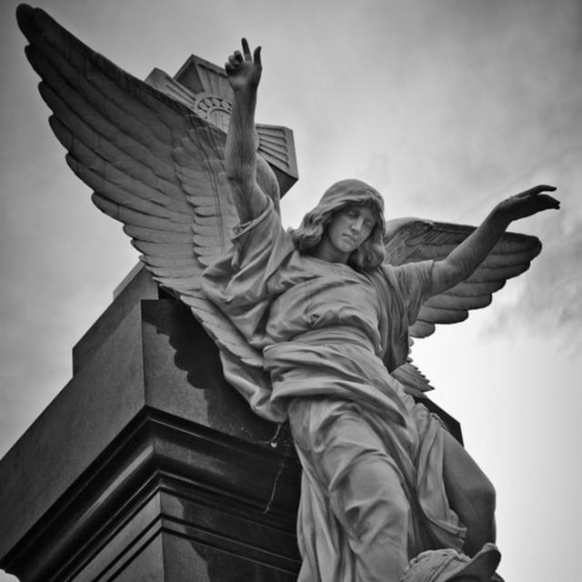 Artist image