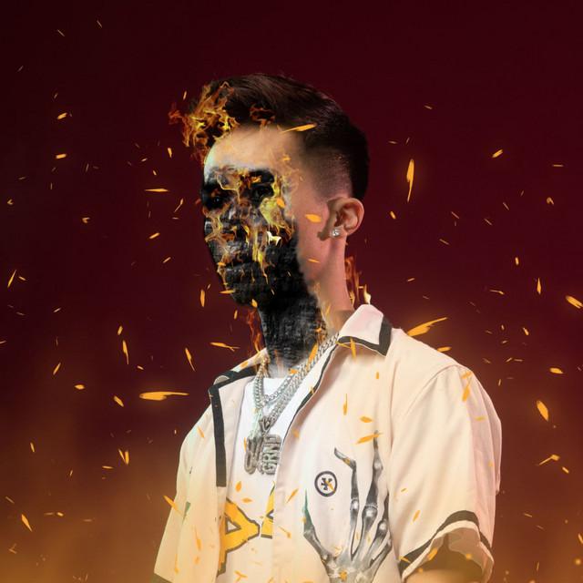 Artist image