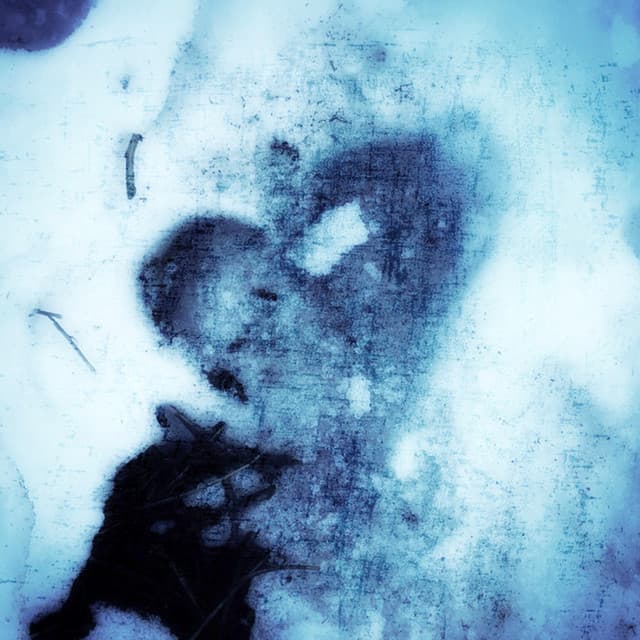 Artist image