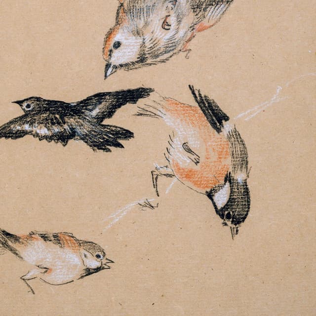 Artist image