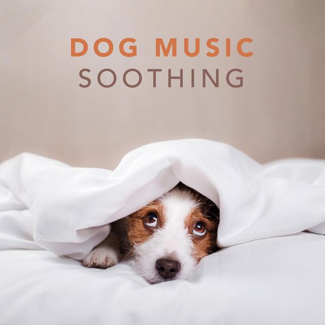 Dog music soothing hot sale music for dogs