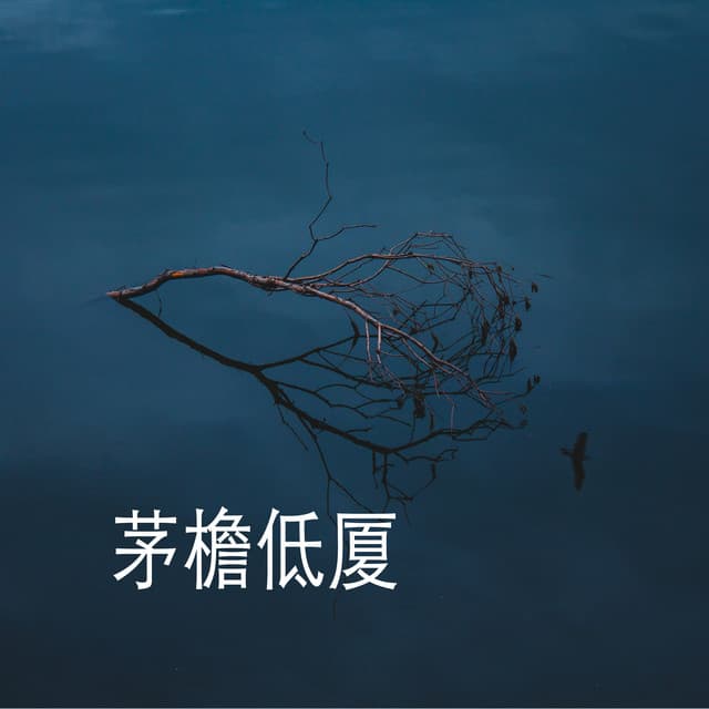 Artist image