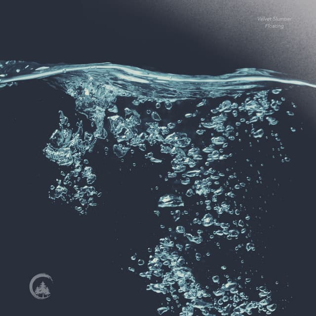 Artist image