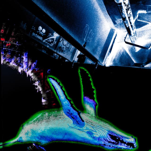 Artist image