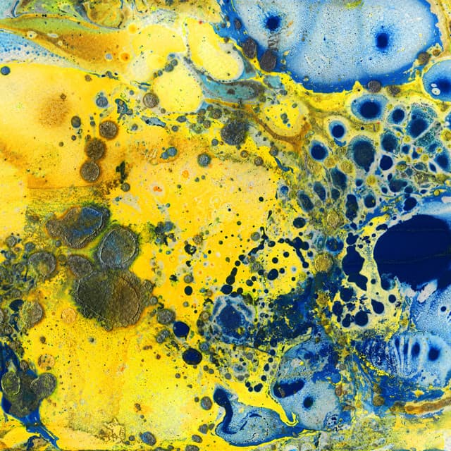 Artist image