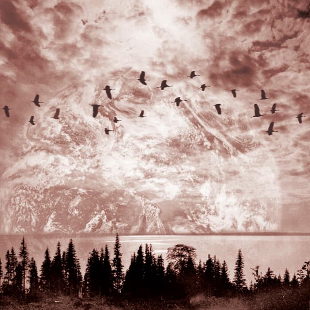 Artist image