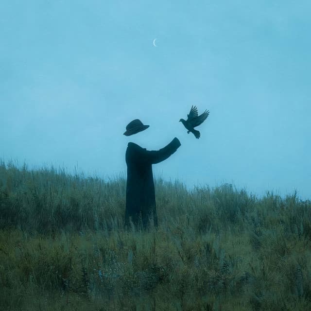 Artist image