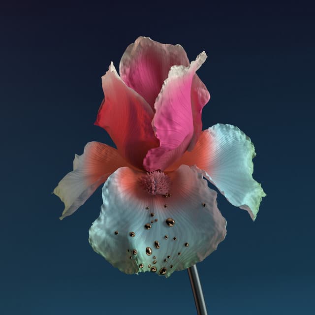 Artist image