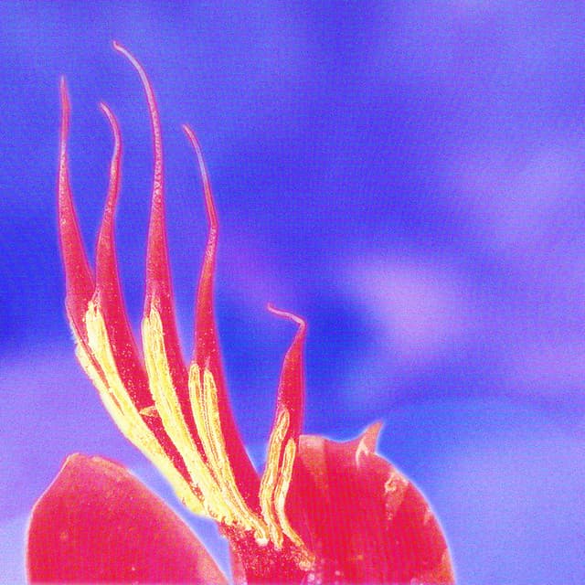 Artist image