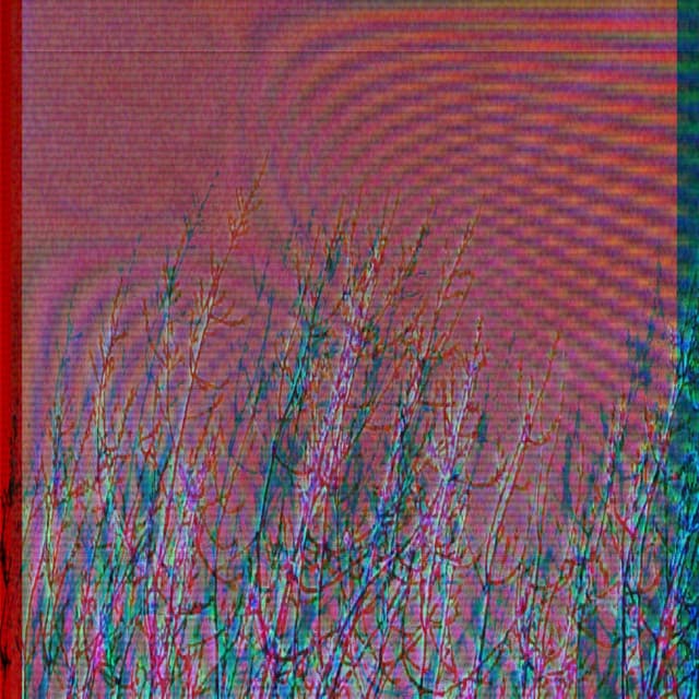 Artist image