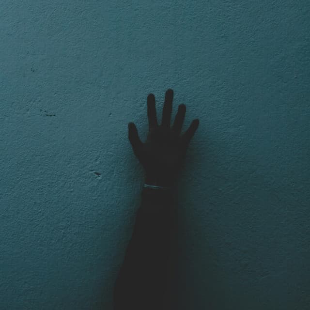 Artist image