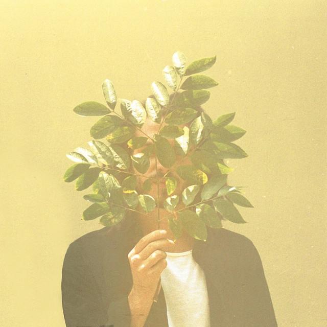 Artist image