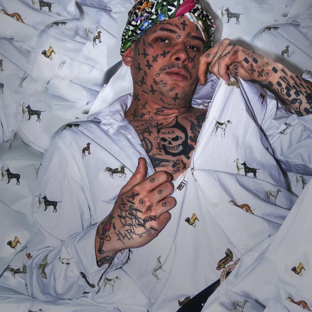 Artist image