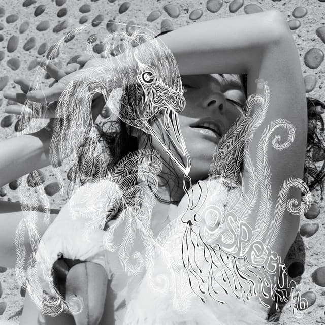 Artist image