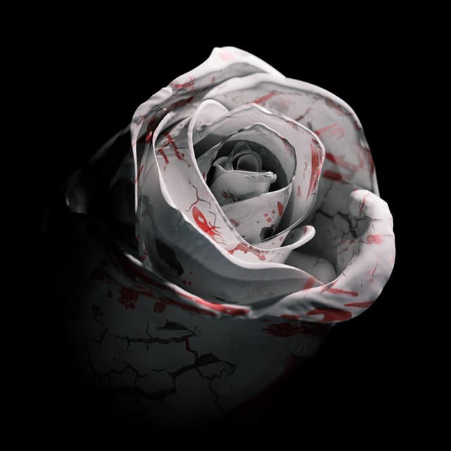 Artist image