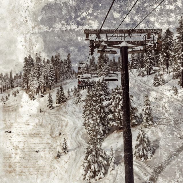 Artist image