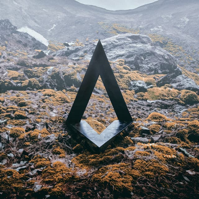 Artist image