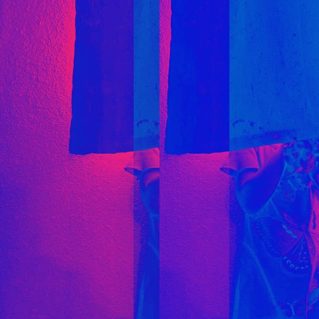 Artist image