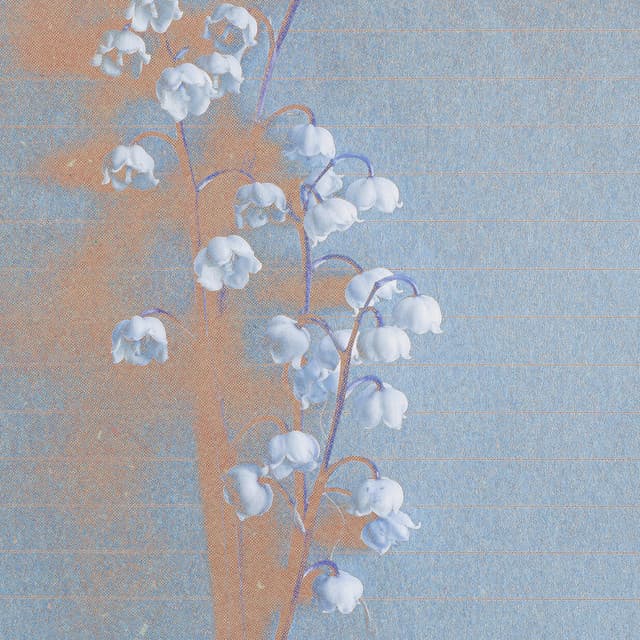 Artist image