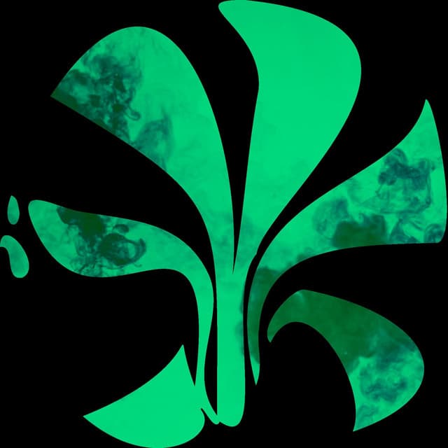 Artist image