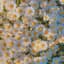 Header background