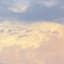 Header background