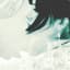 Header background
