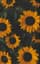 Header background