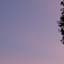 Header background