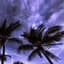 Header background