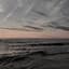 Header background