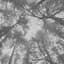 Header background