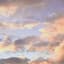 Header background