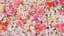 Header background