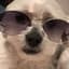 Header background