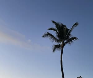 Header background